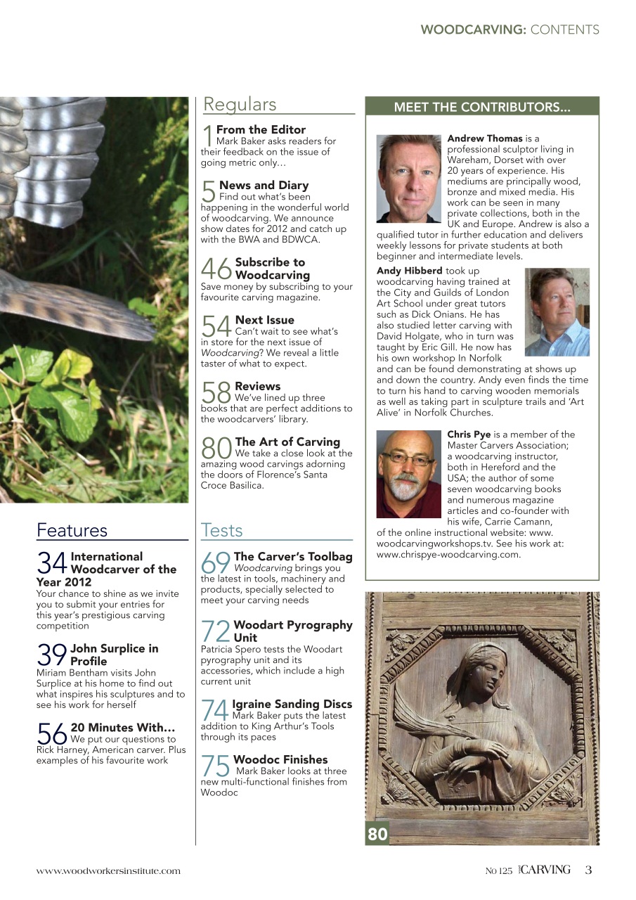 Woodcarving Preview Pages