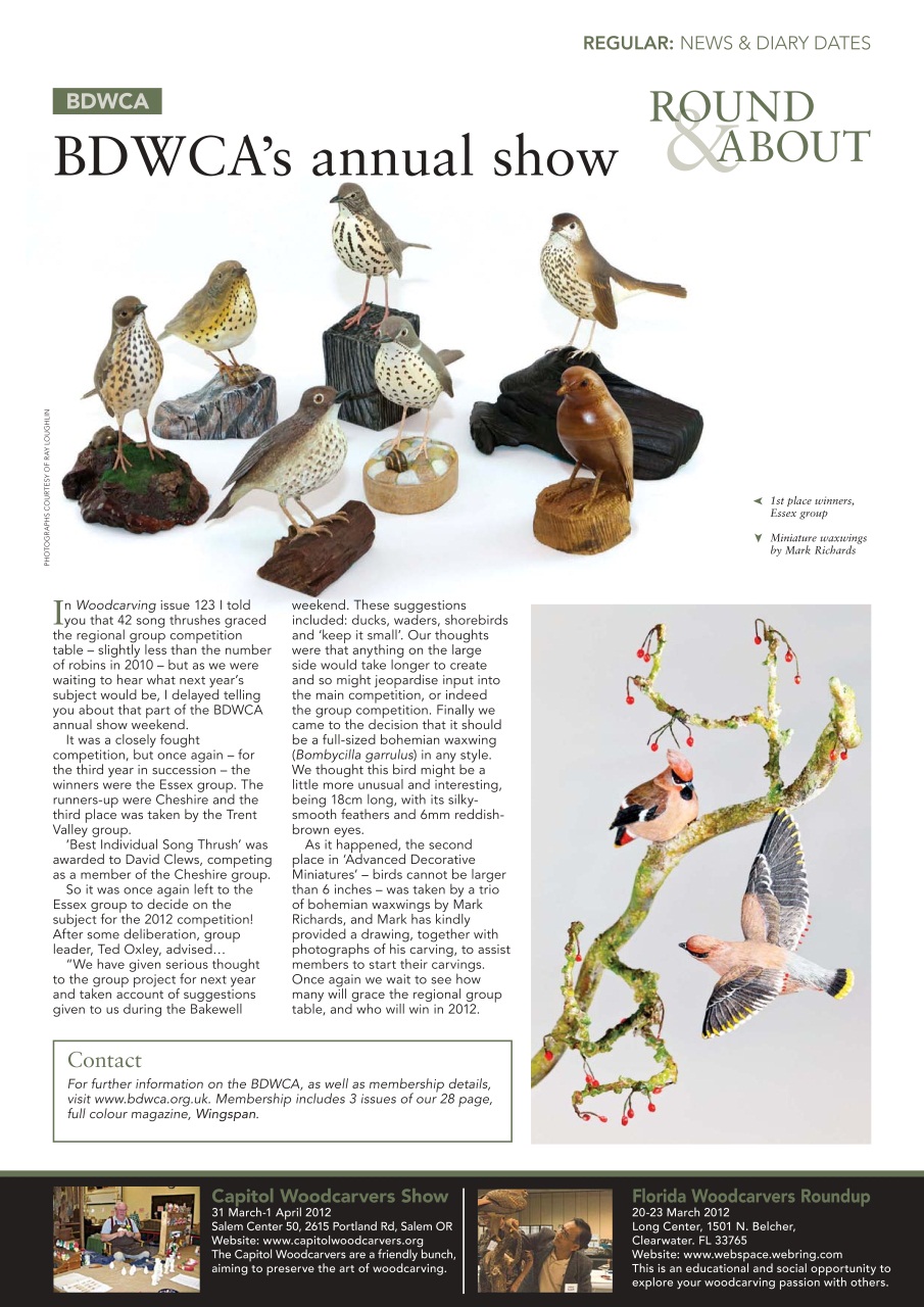 Woodcarving Preview Pages