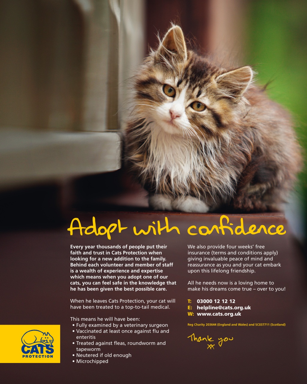 Vegetarian Living Preview Pages