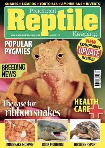 Practical Reptile Keeping issue No.35 Popular Pygmie