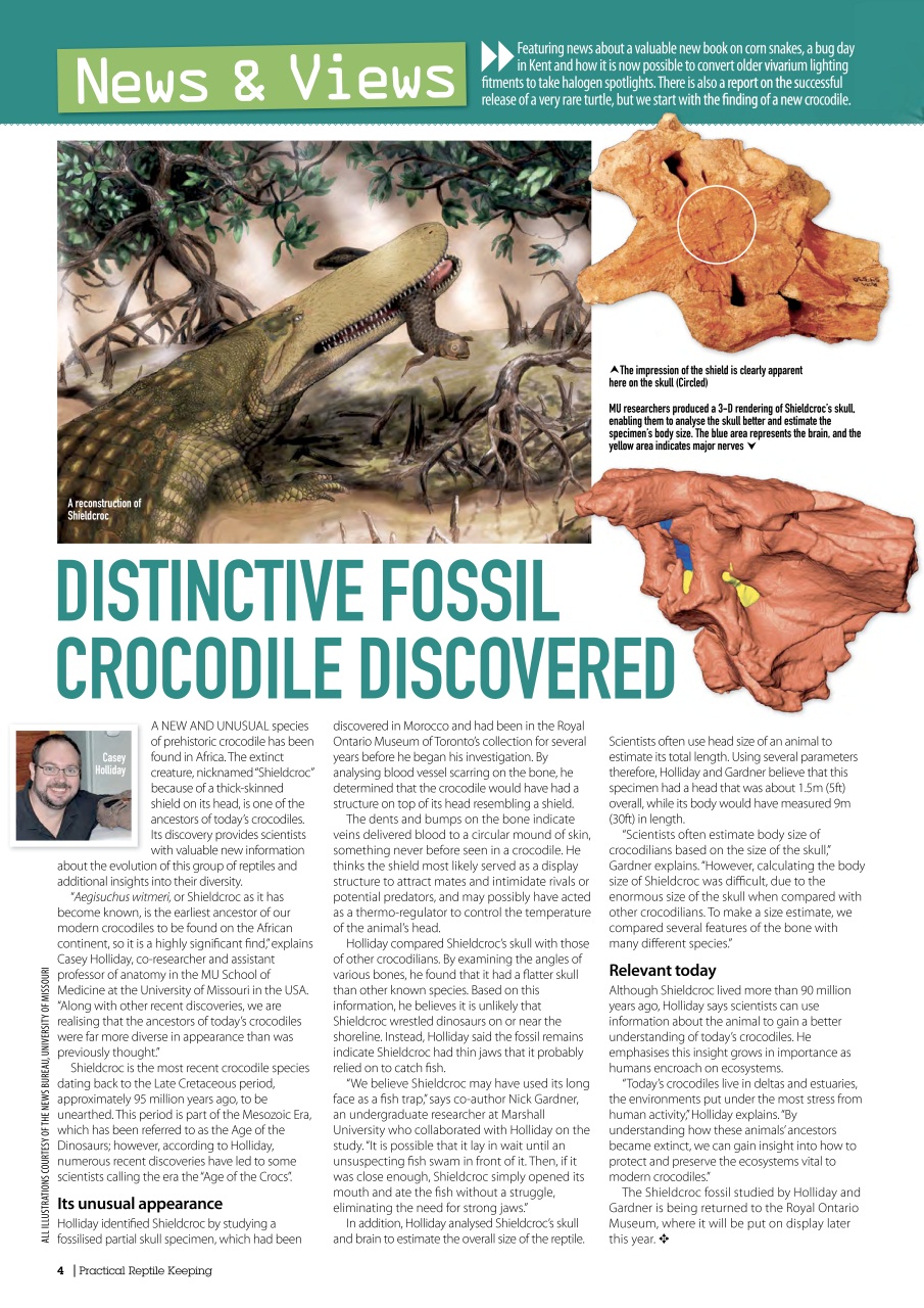 Practical Reptile Keeping Preview Pages