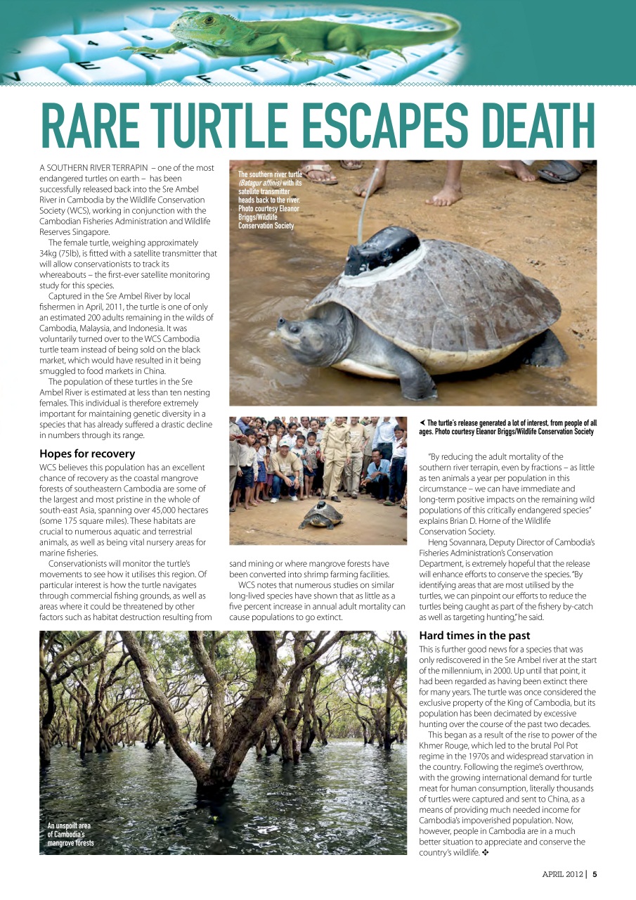 Practical Reptile Keeping Preview Pages