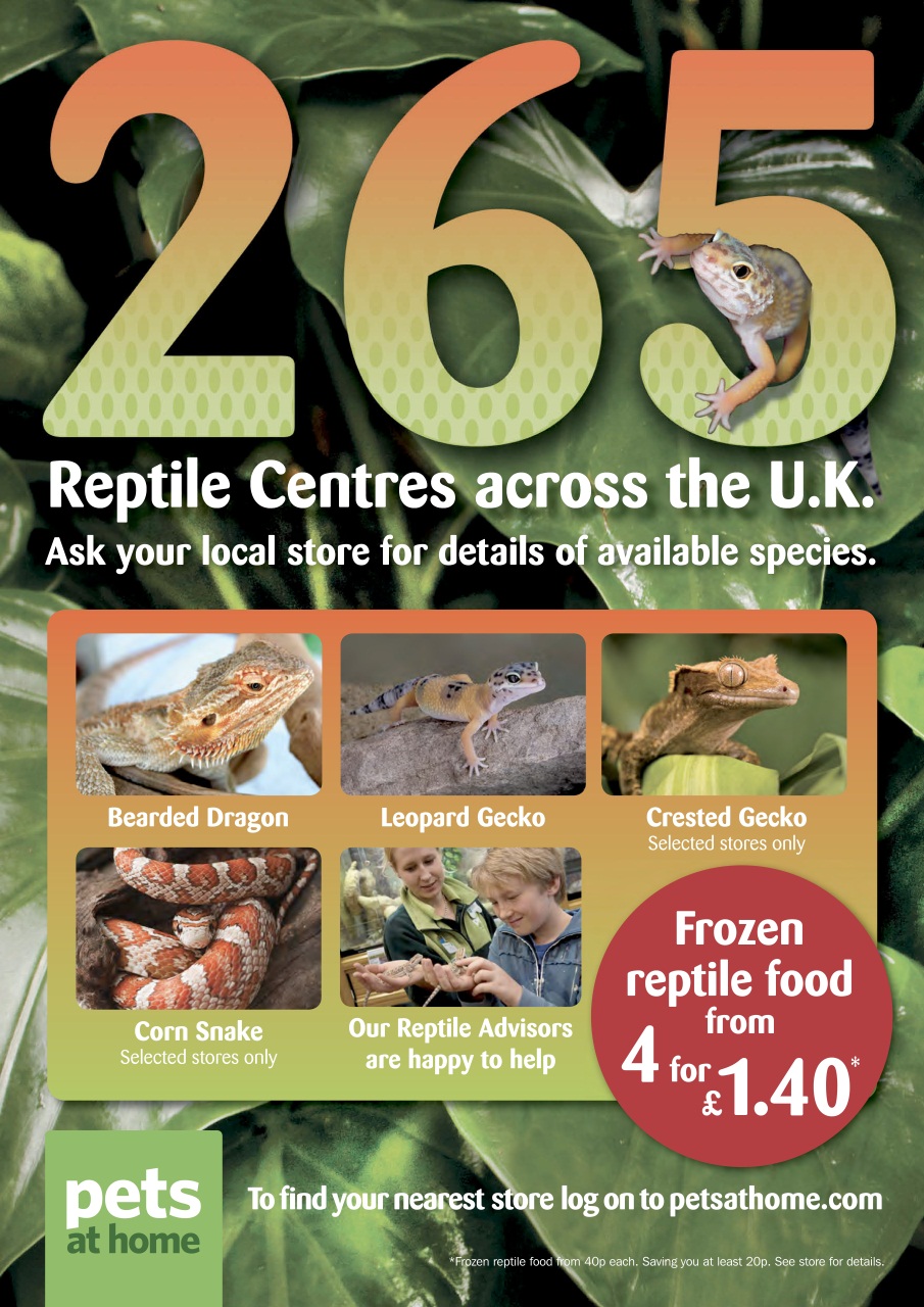 Practical Reptile Keeping Preview Pages