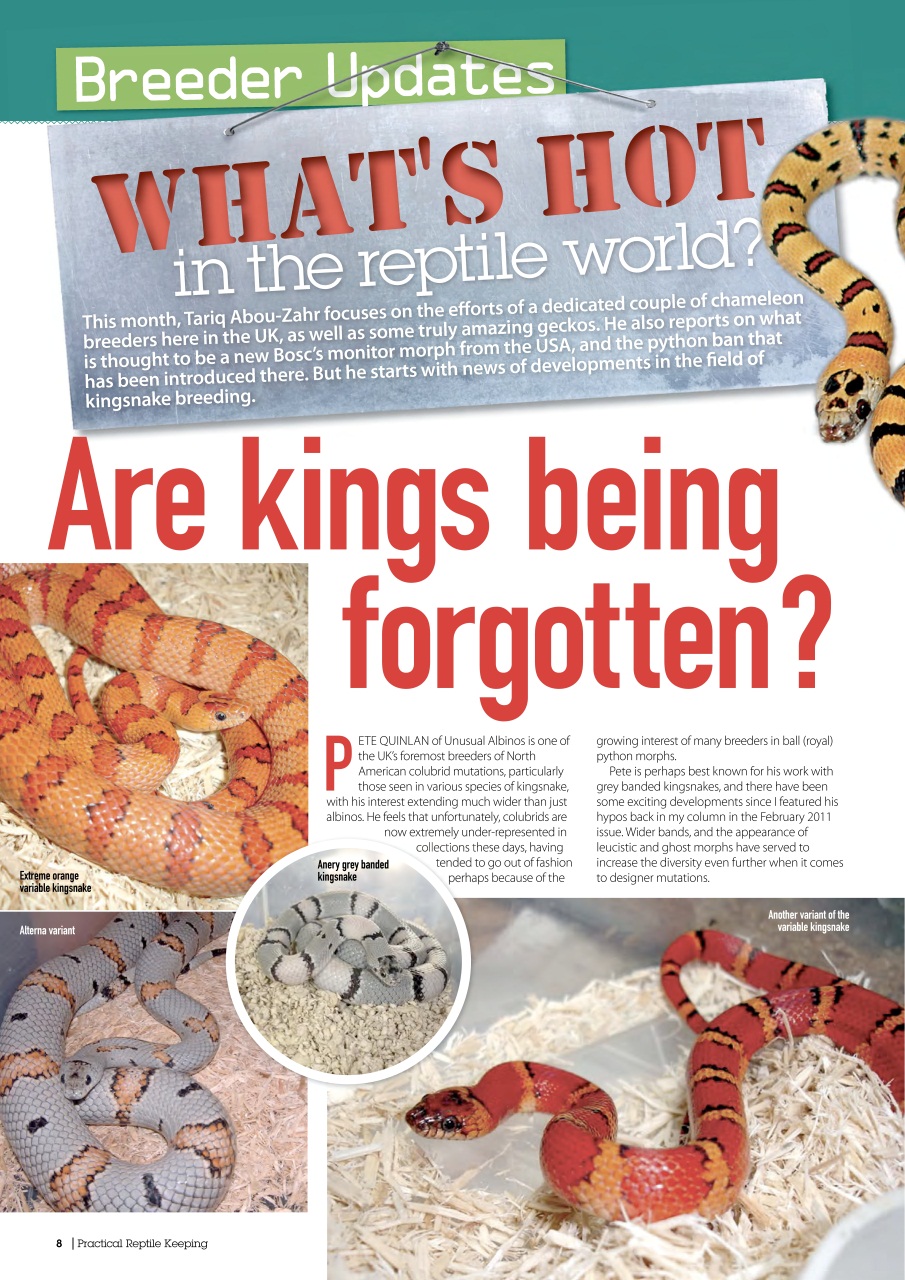 Practical Reptile Keeping Preview Pages