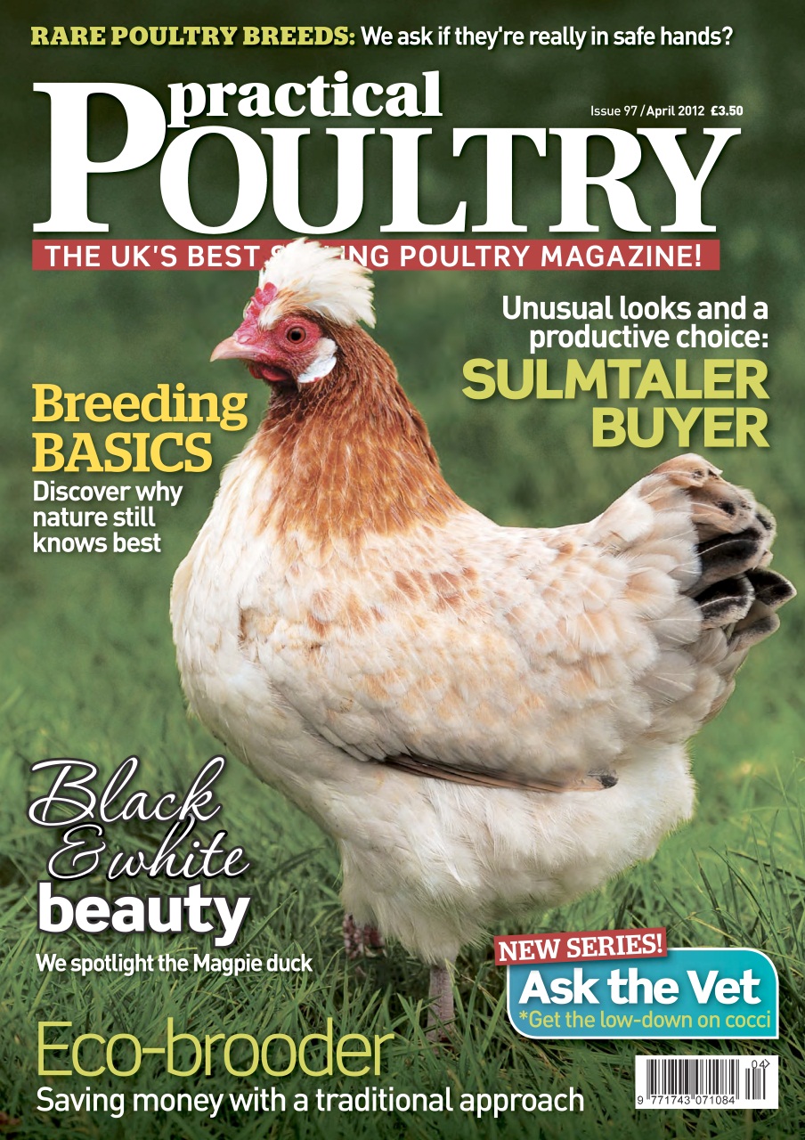 Practical Poultry Preview Pages