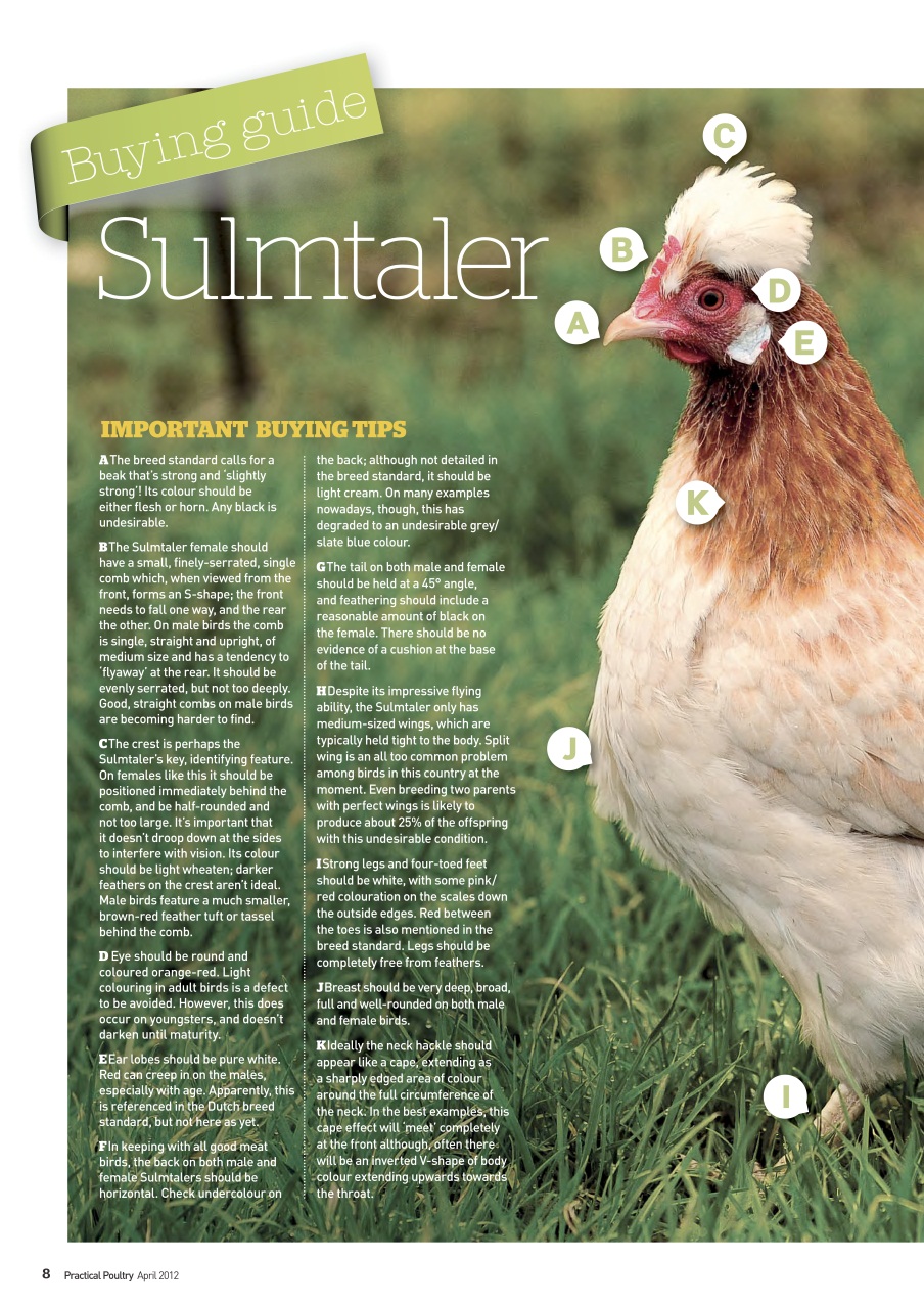 Practical Poultry Preview Pages