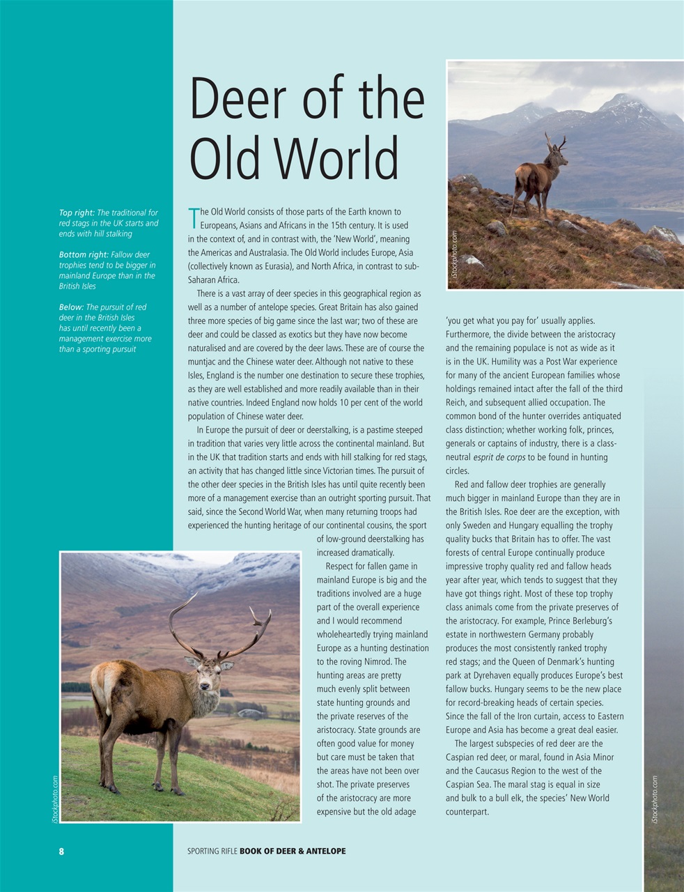 Sp Rifle Deer and Antelope Preview Pages
