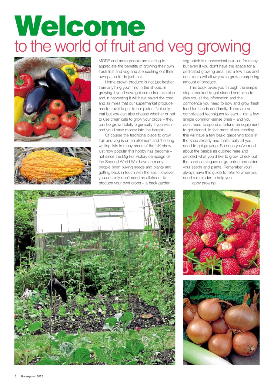 Mortons Books Preview Pages