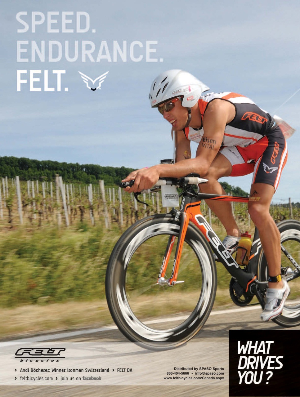 Pedal Magazine Preview Pages