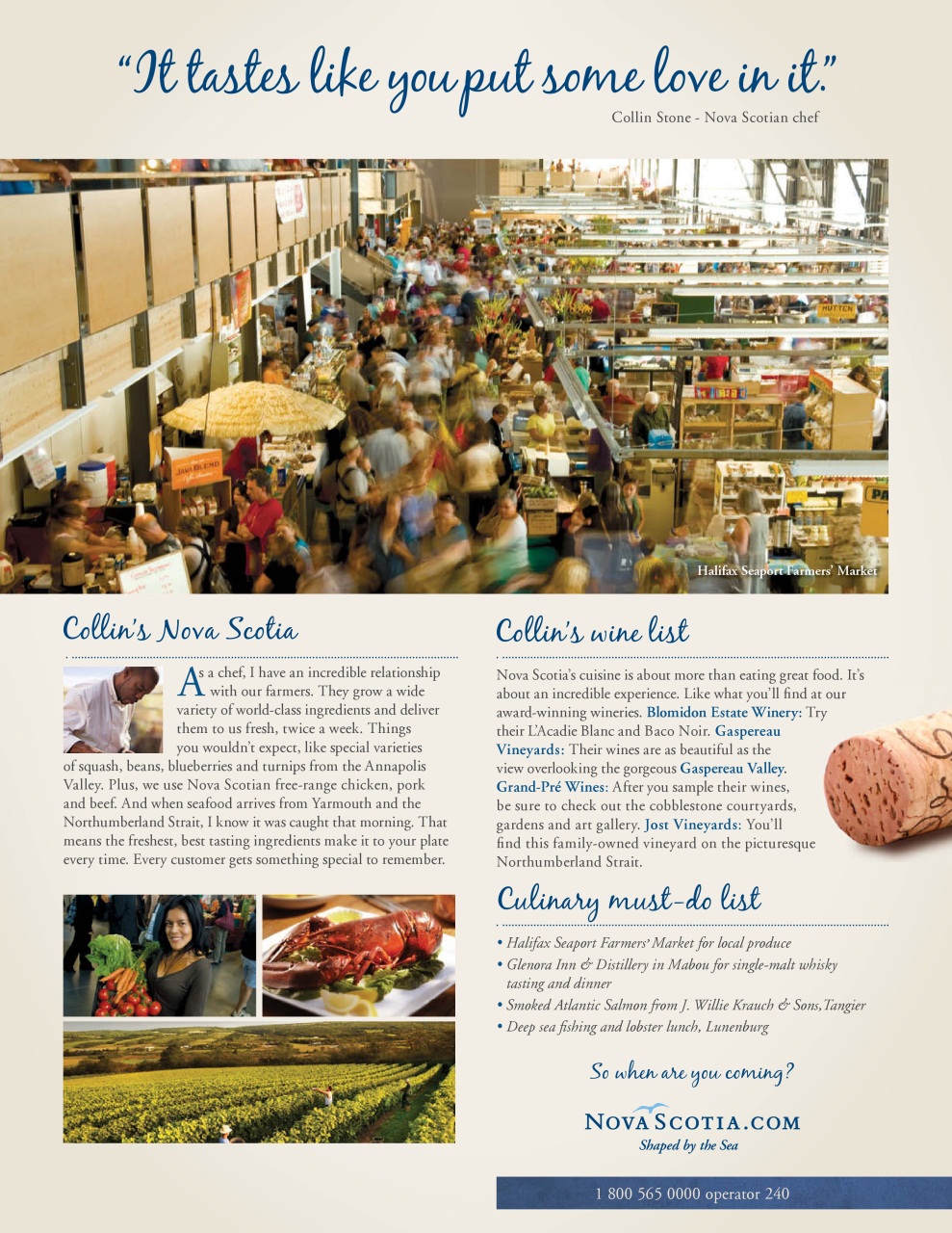 Taste & Travel International Preview Pages