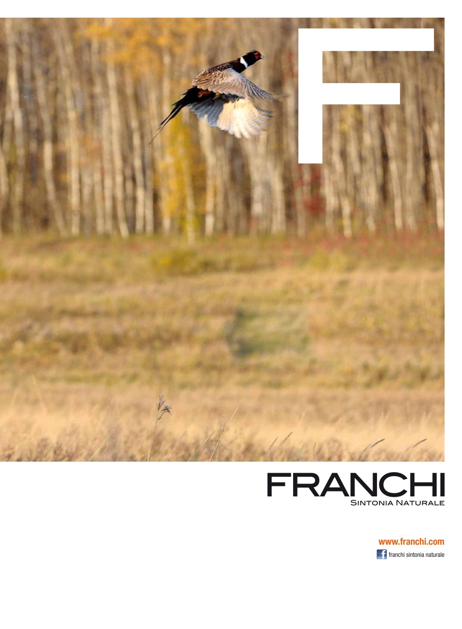 Armi E Tiro Preview Pages