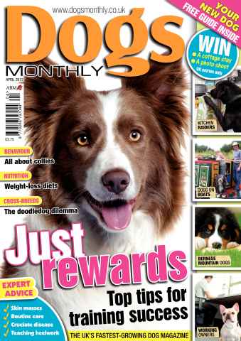 Dogs Monthly issue April 2012