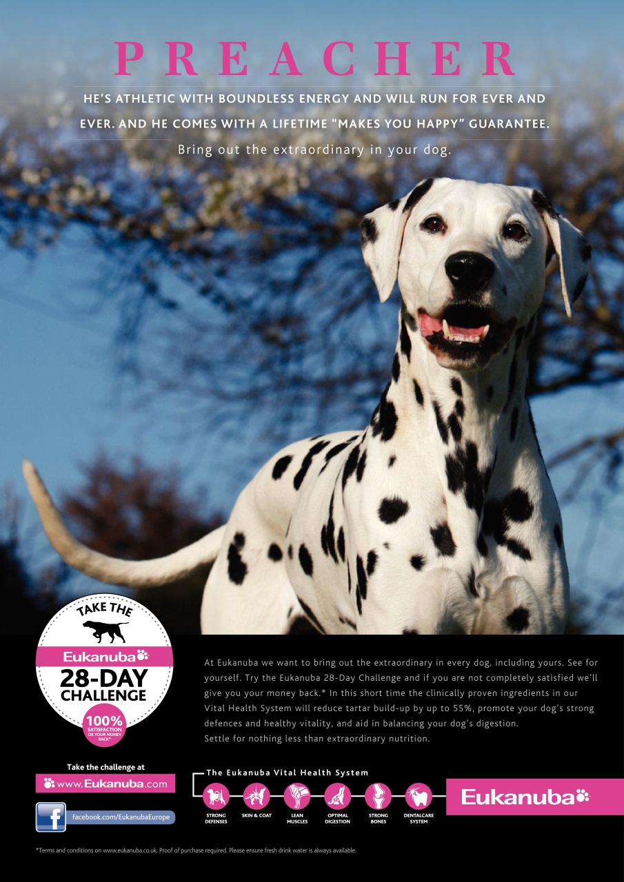 Dogs Monthly Preview Pages