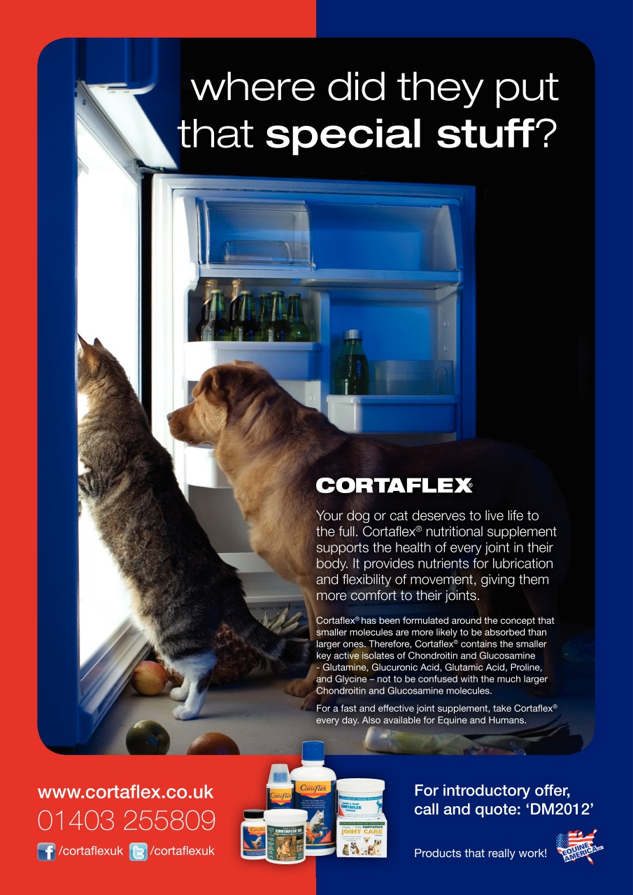 Dogs Monthly Preview Pages