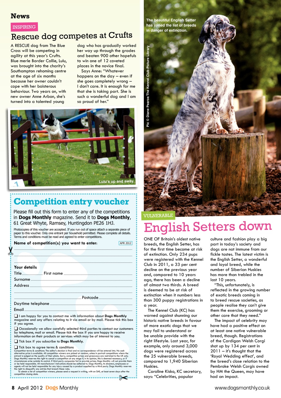 Dogs Monthly Preview Pages