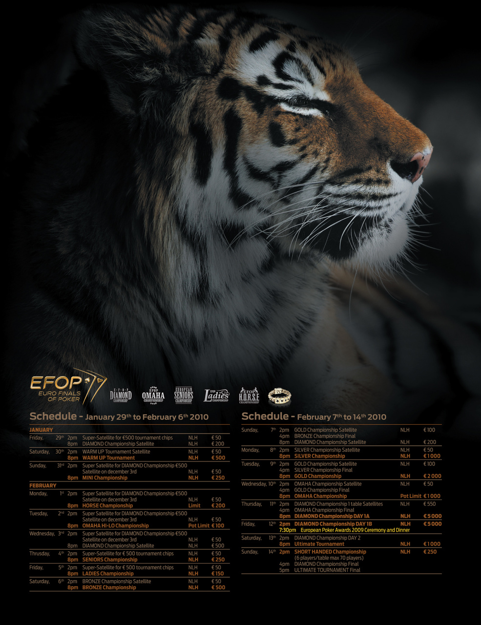 Bluff Europe Preview Pages