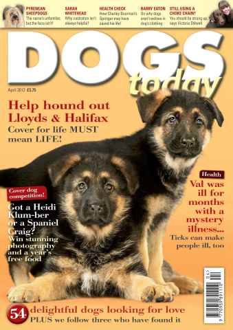 Dogs Today Magazine issue April 2012