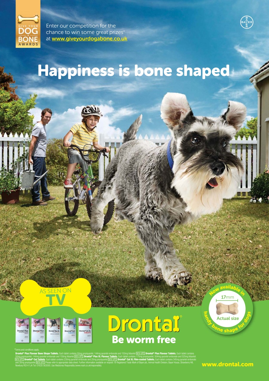 Dogs Today Magazine Preview Pages