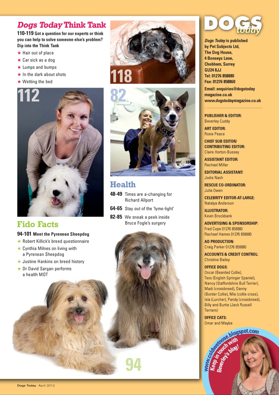 Dogs Today Magazine Preview Pages