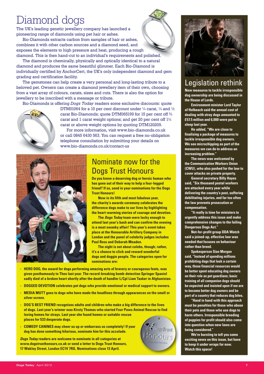 Dogs Today Magazine Preview Pages