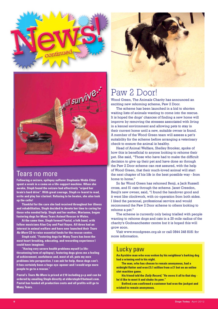 Dogs Today Magazine Preview Pages