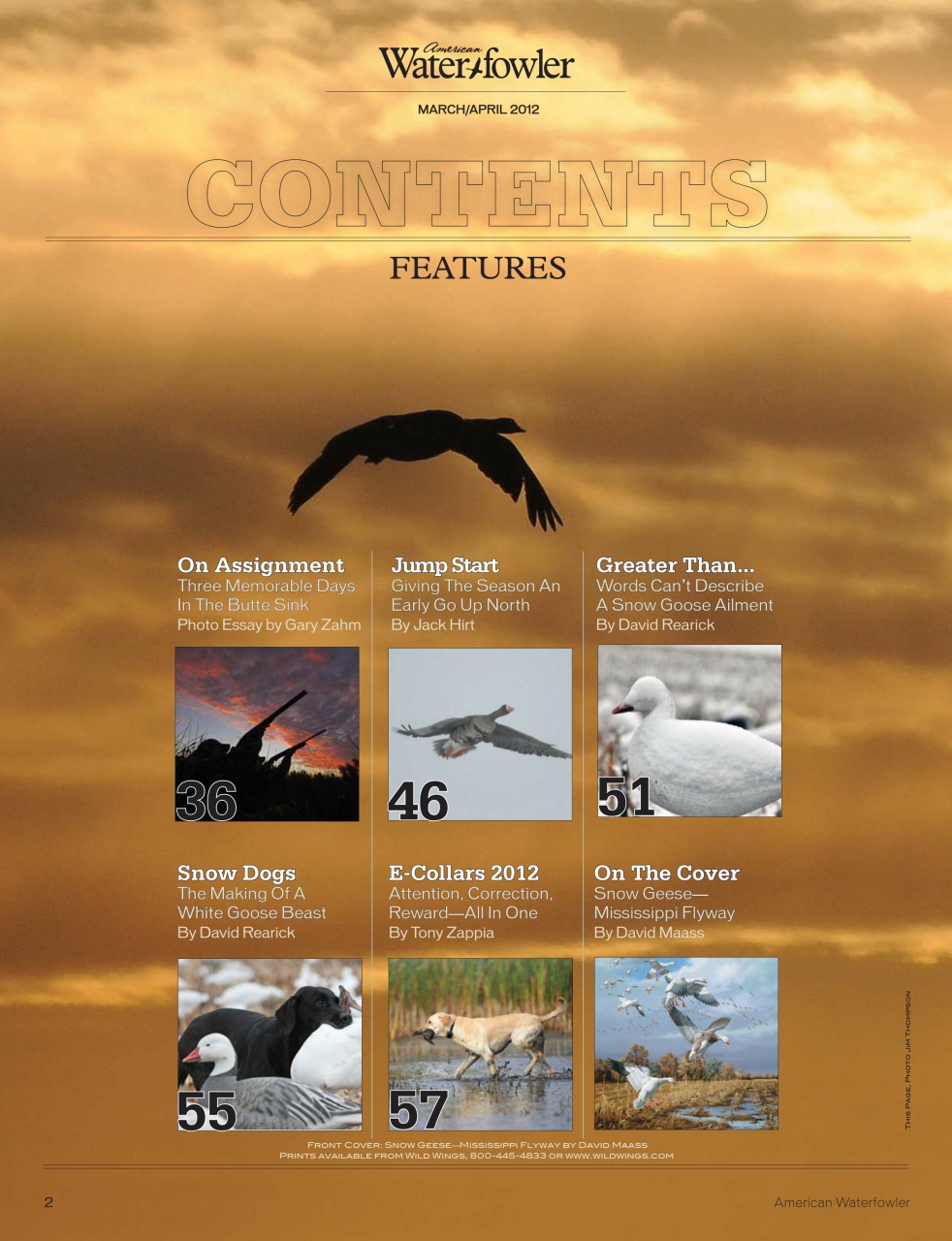 American Waterfowler Preview Pages