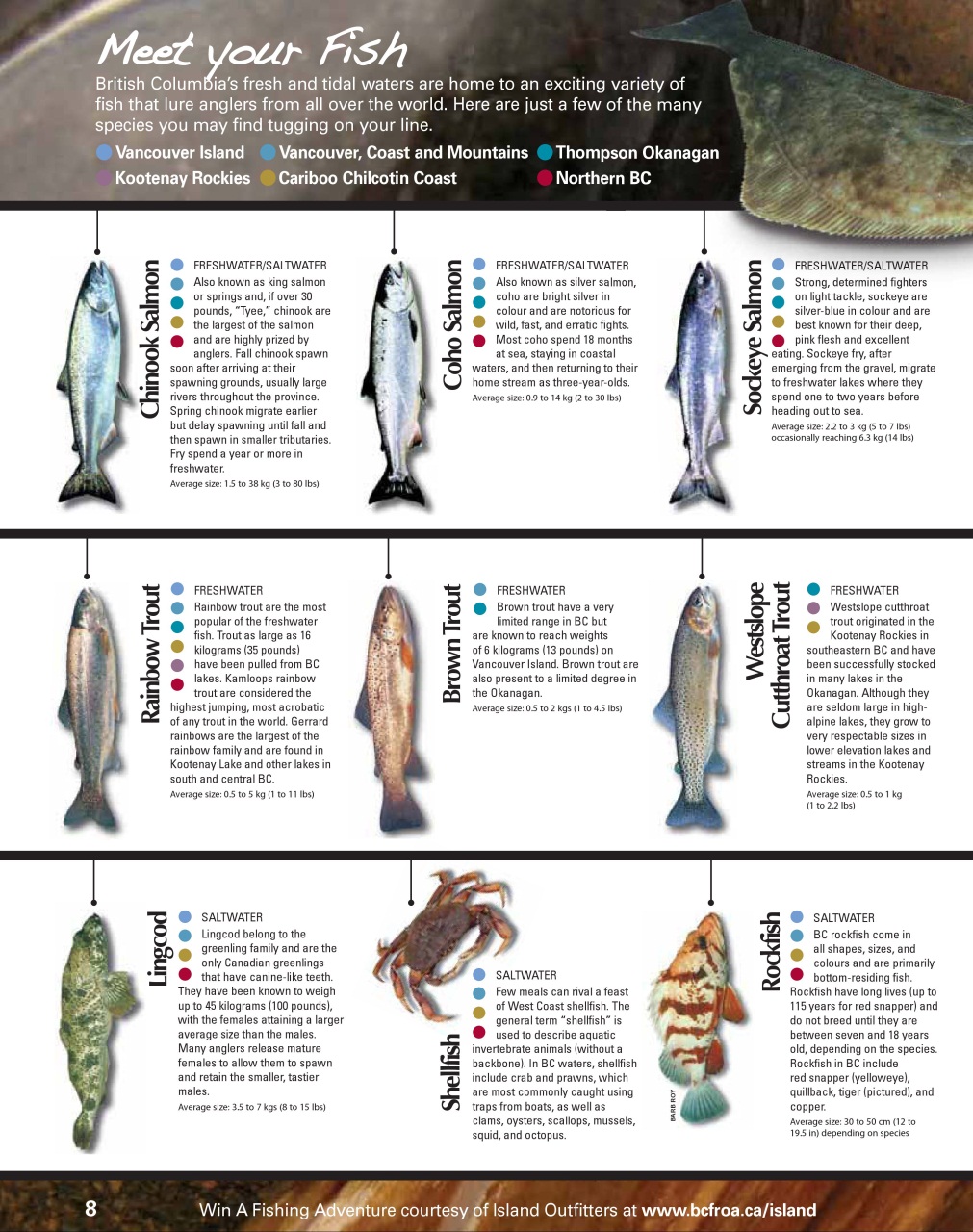 Sport Fishing Guides Preview Pages