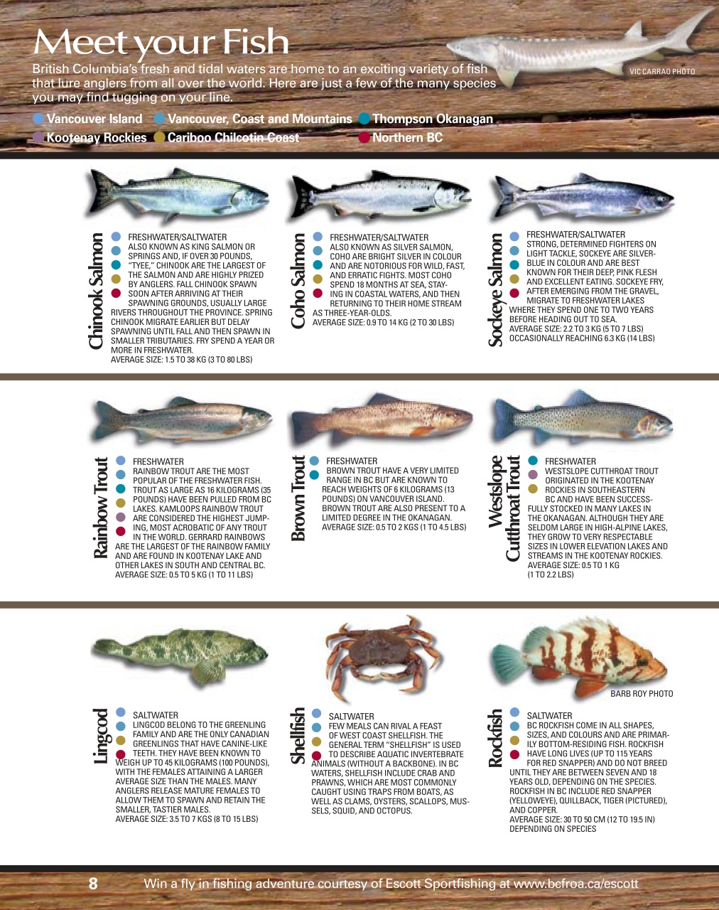 Sport Fishing Guides Preview Pages