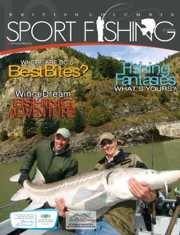 2010 issue 2010
