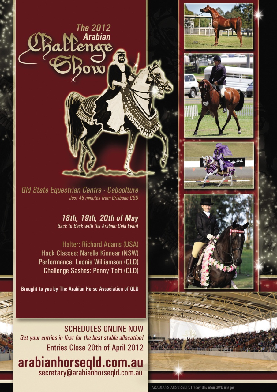 Australian Arabian Horse News Preview Pages