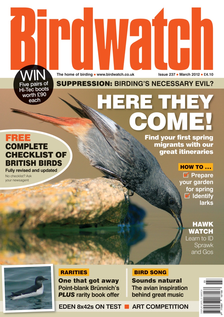 Birdwatch Magazine Preview Pages