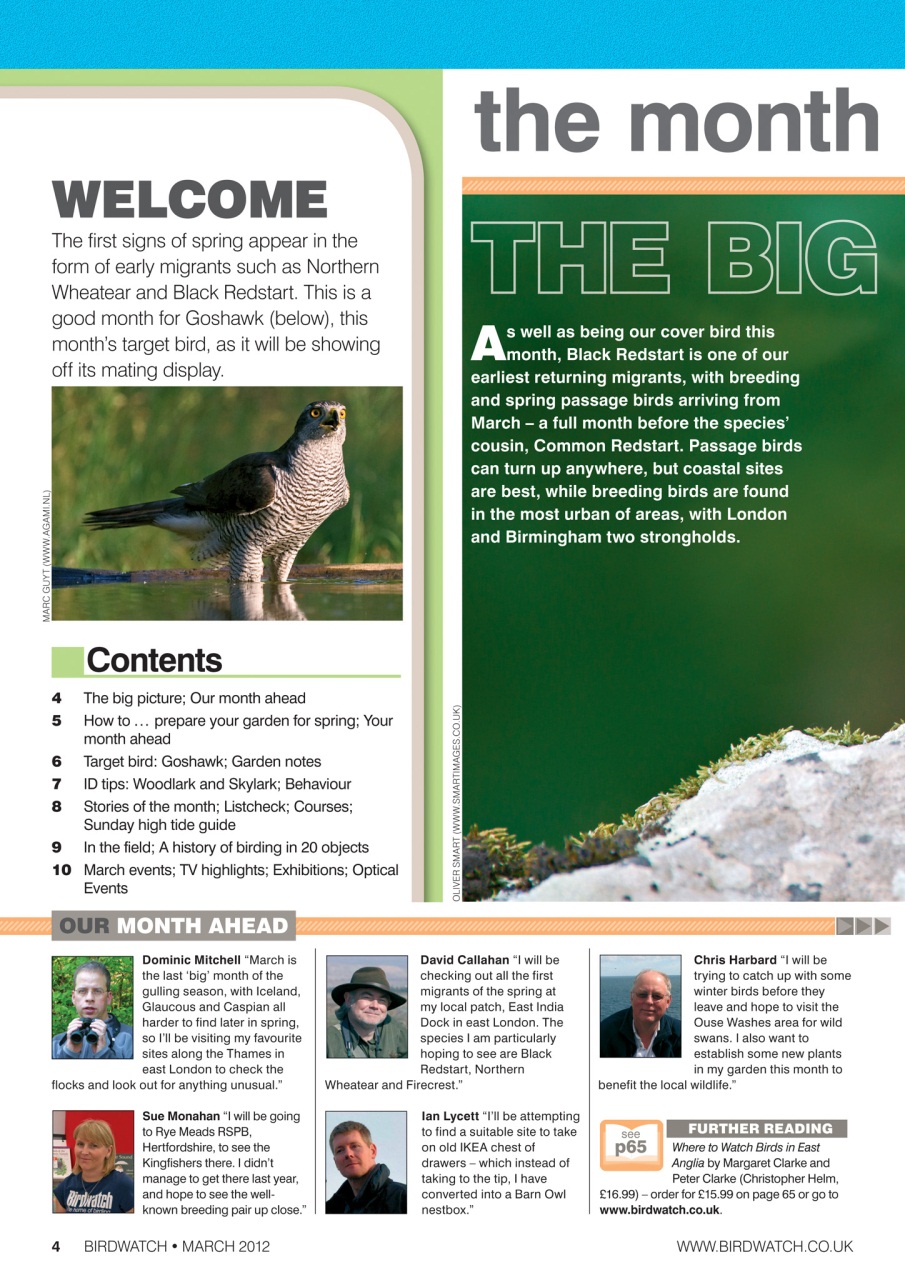 Birdwatch Magazine Preview Pages
