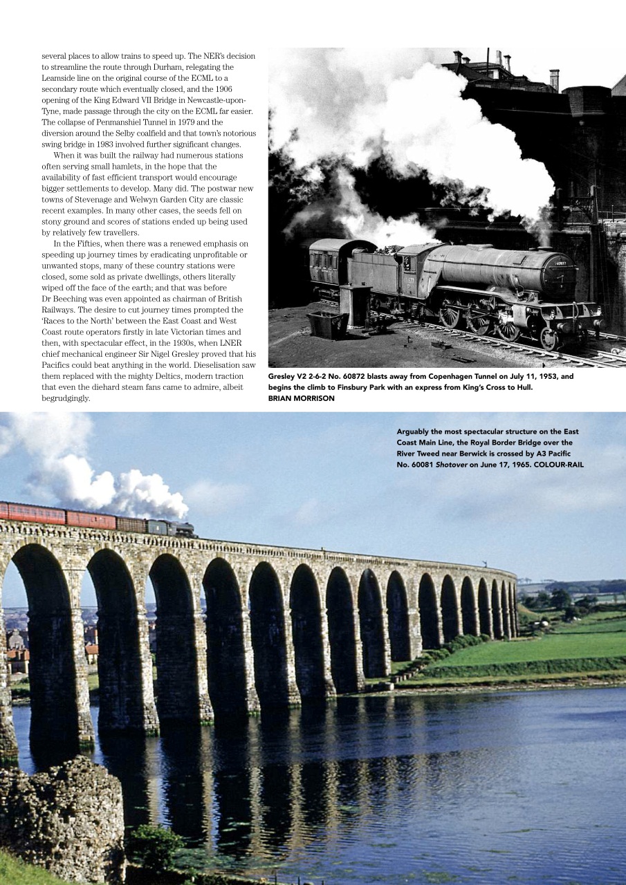 Mortons Books Preview Pages