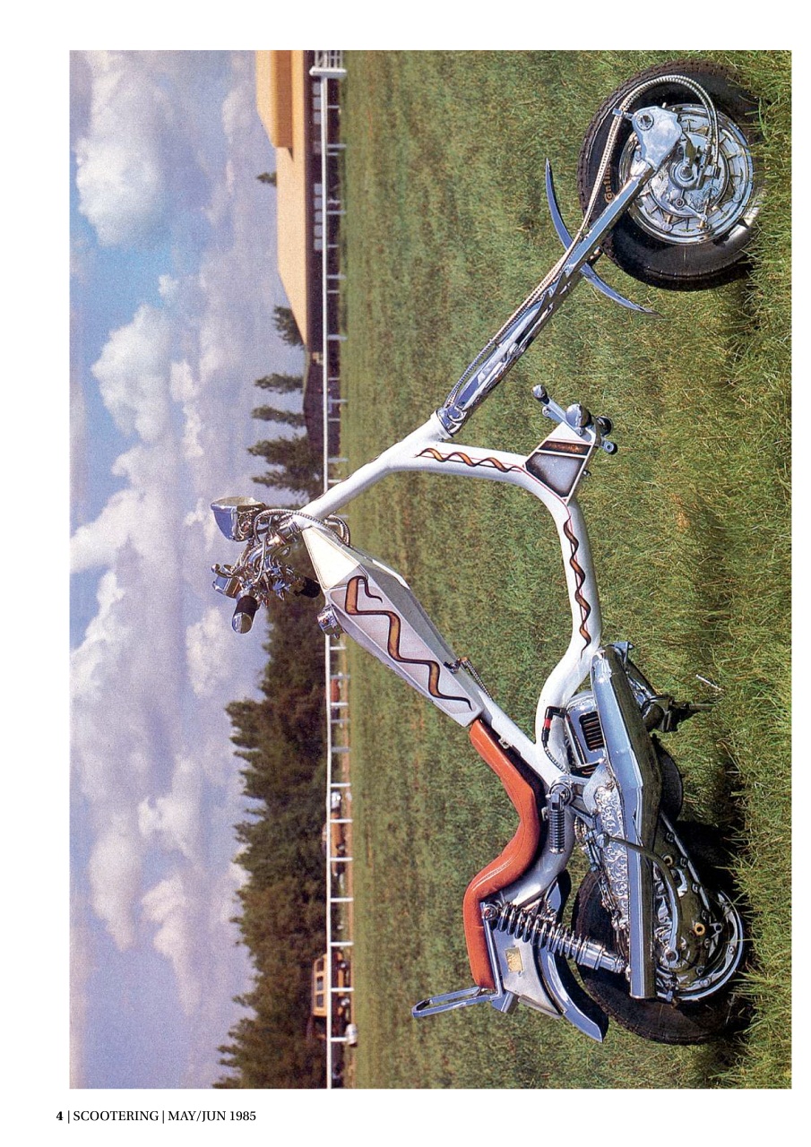 Mortons Books Preview Pages