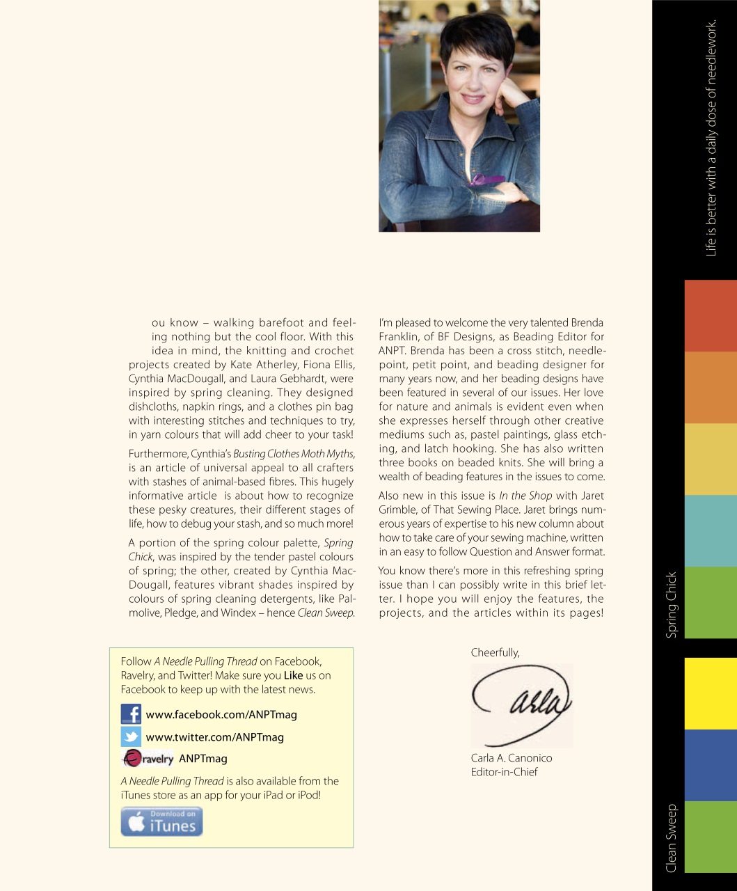 A Needle Pulling Thread Preview Pages