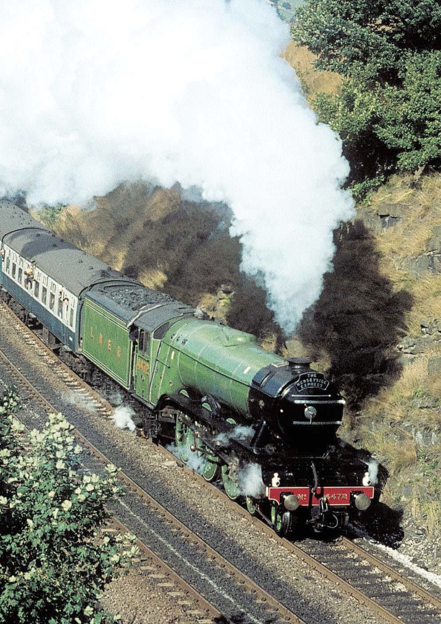 Mortons Books Preview Pages