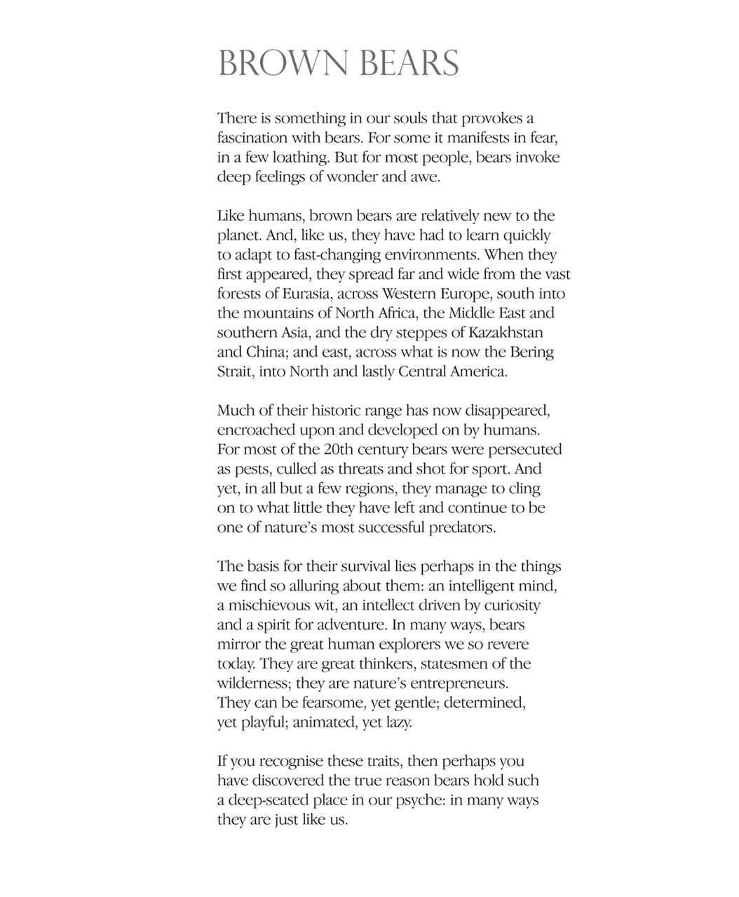 Brown Bears Preview Pages