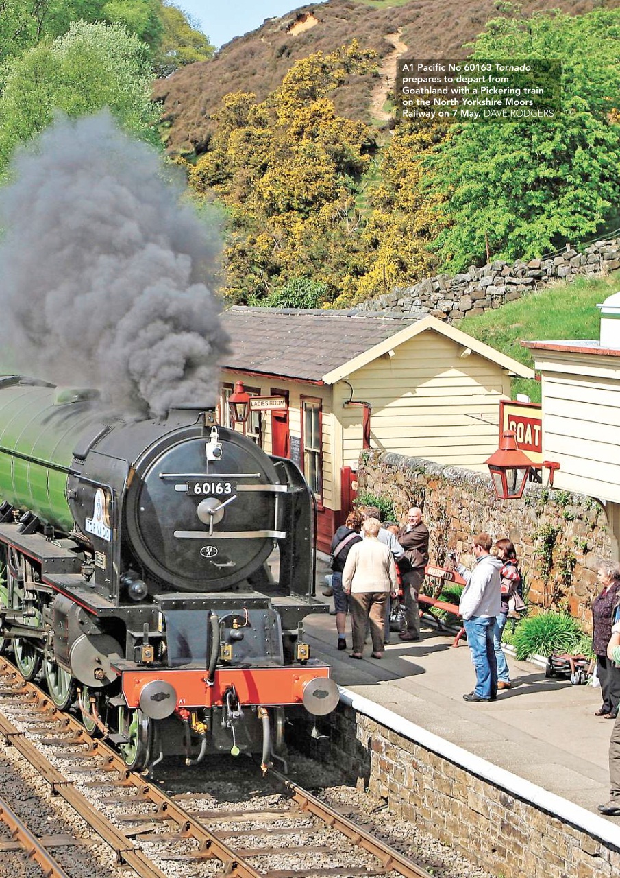 Mortons Books Preview Pages