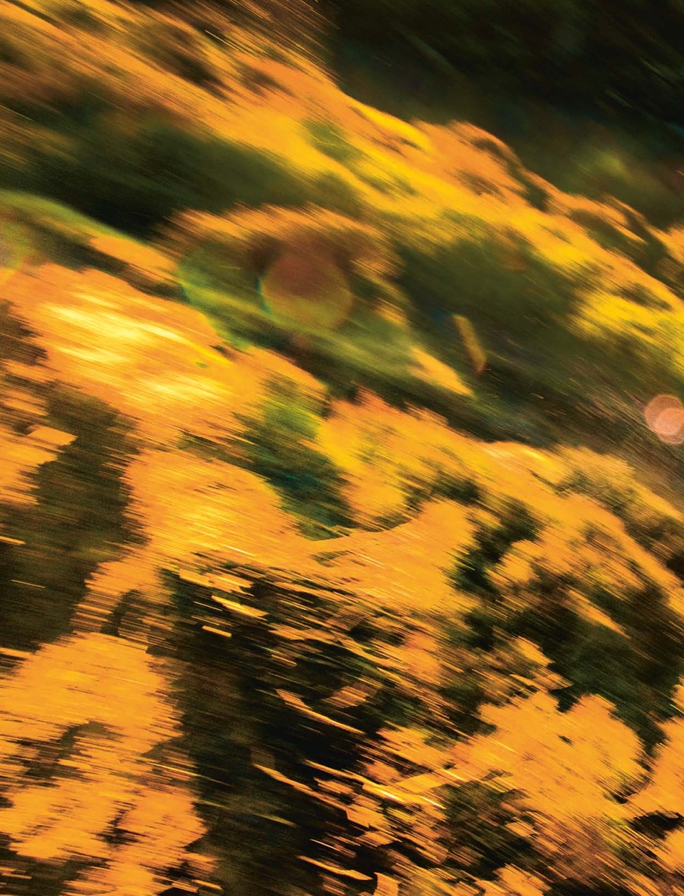 Singletrack Preview Pages