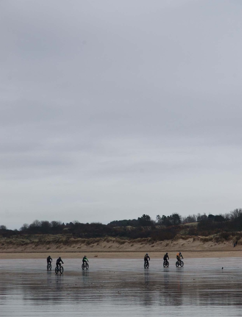 Singletrack Preview Pages