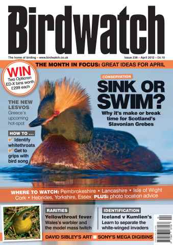 Birdwatch Magazine issue April 2012