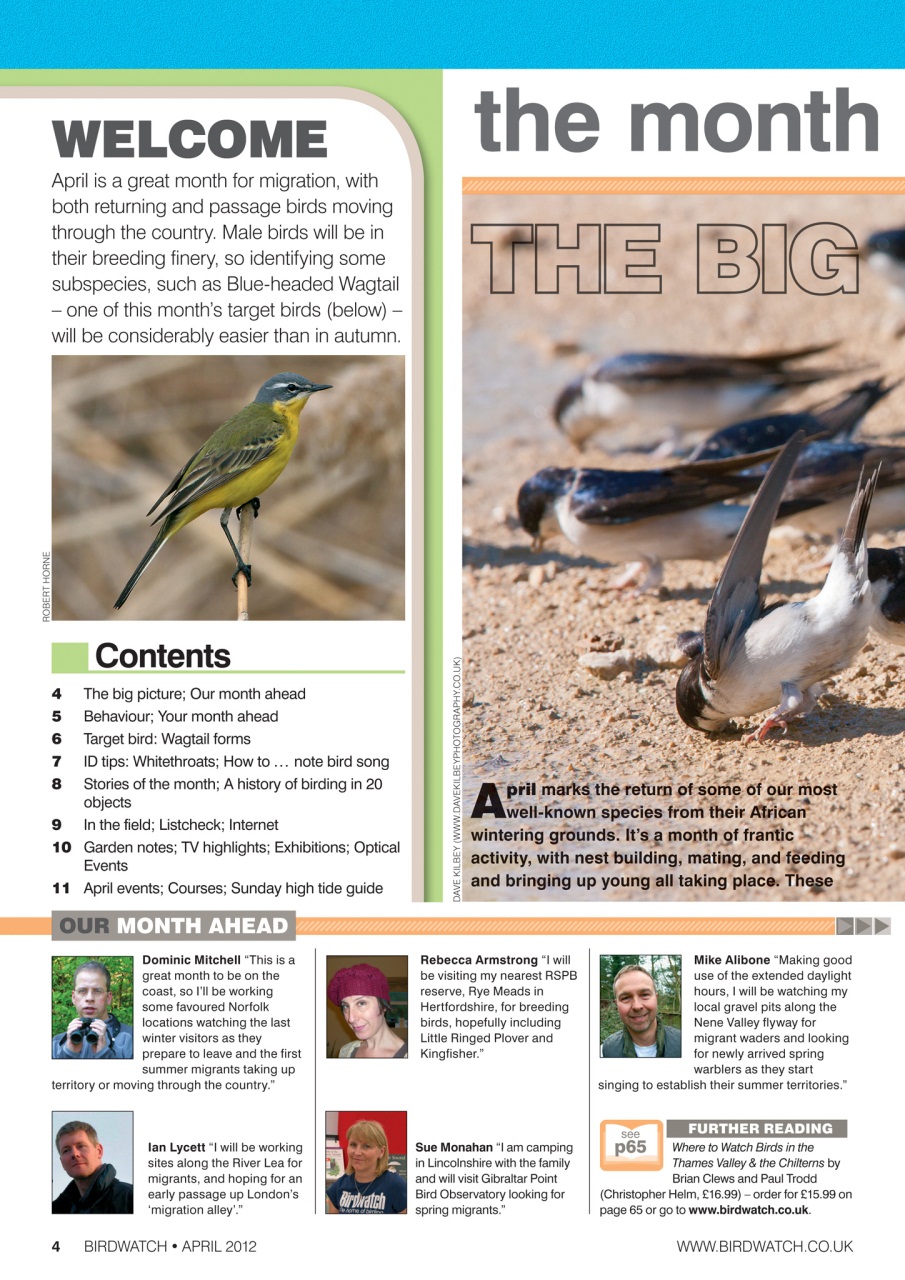 Birdwatch Magazine Preview Pages