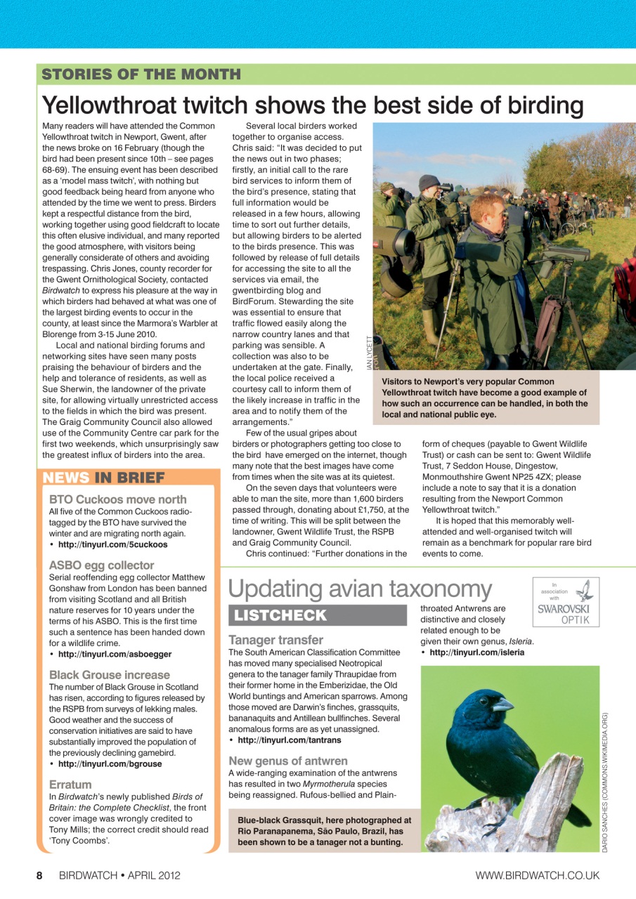 Birdwatch Magazine Preview Pages