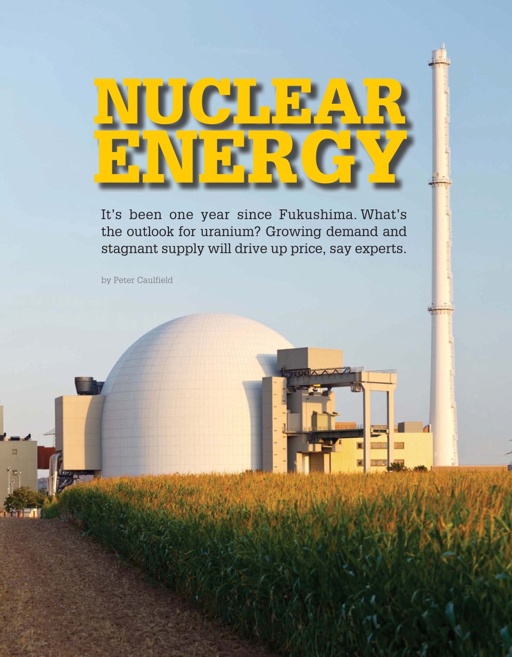 Resource World Preview Pages