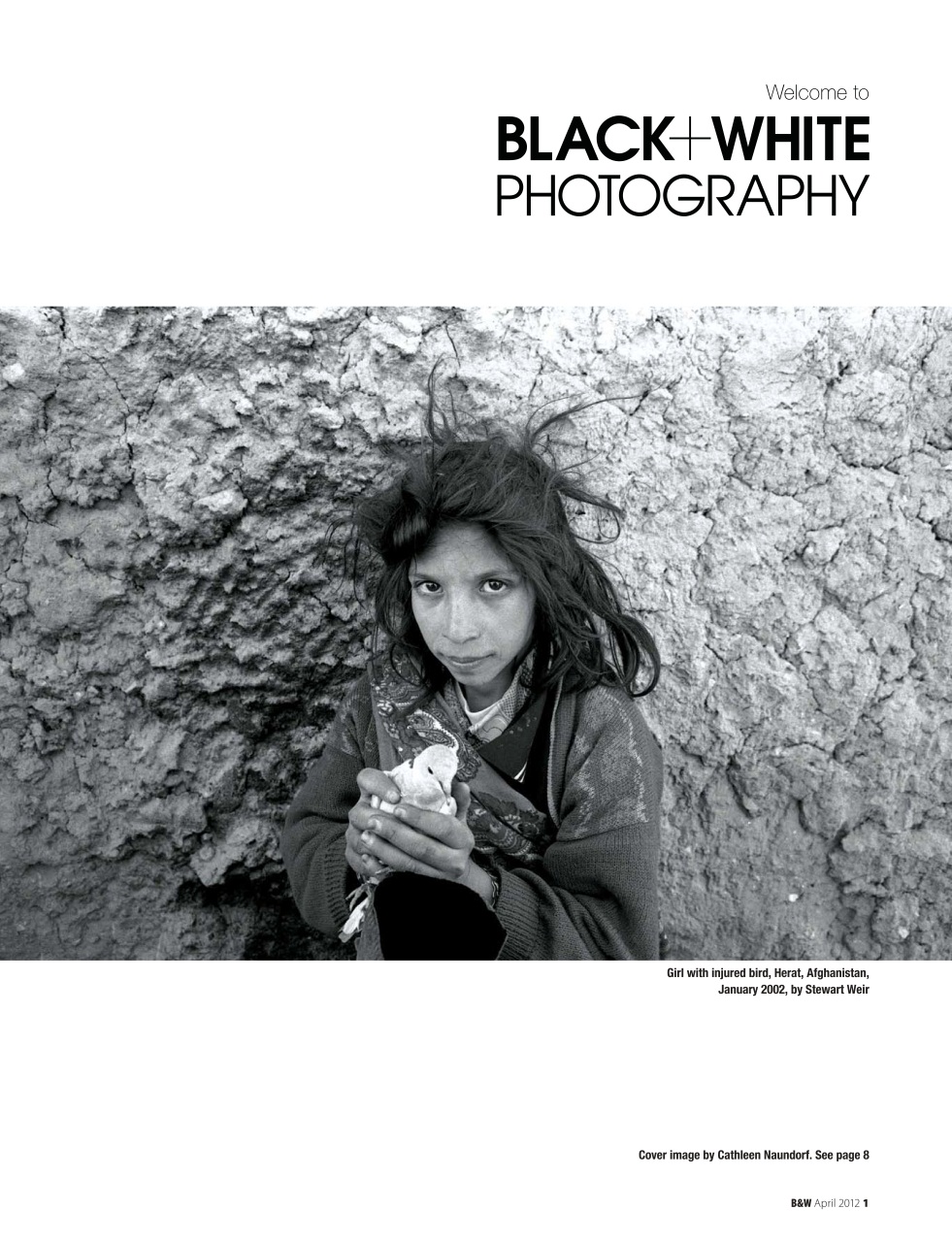 Black+White Photography Preview Pages