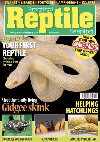 Practical Reptile Keeping issue No.36 Your first reptile