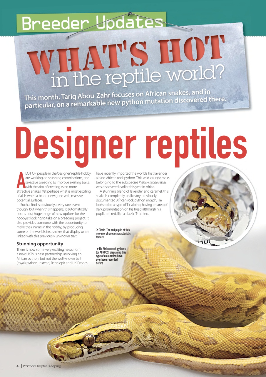 Practical Reptile Keeping Preview Pages