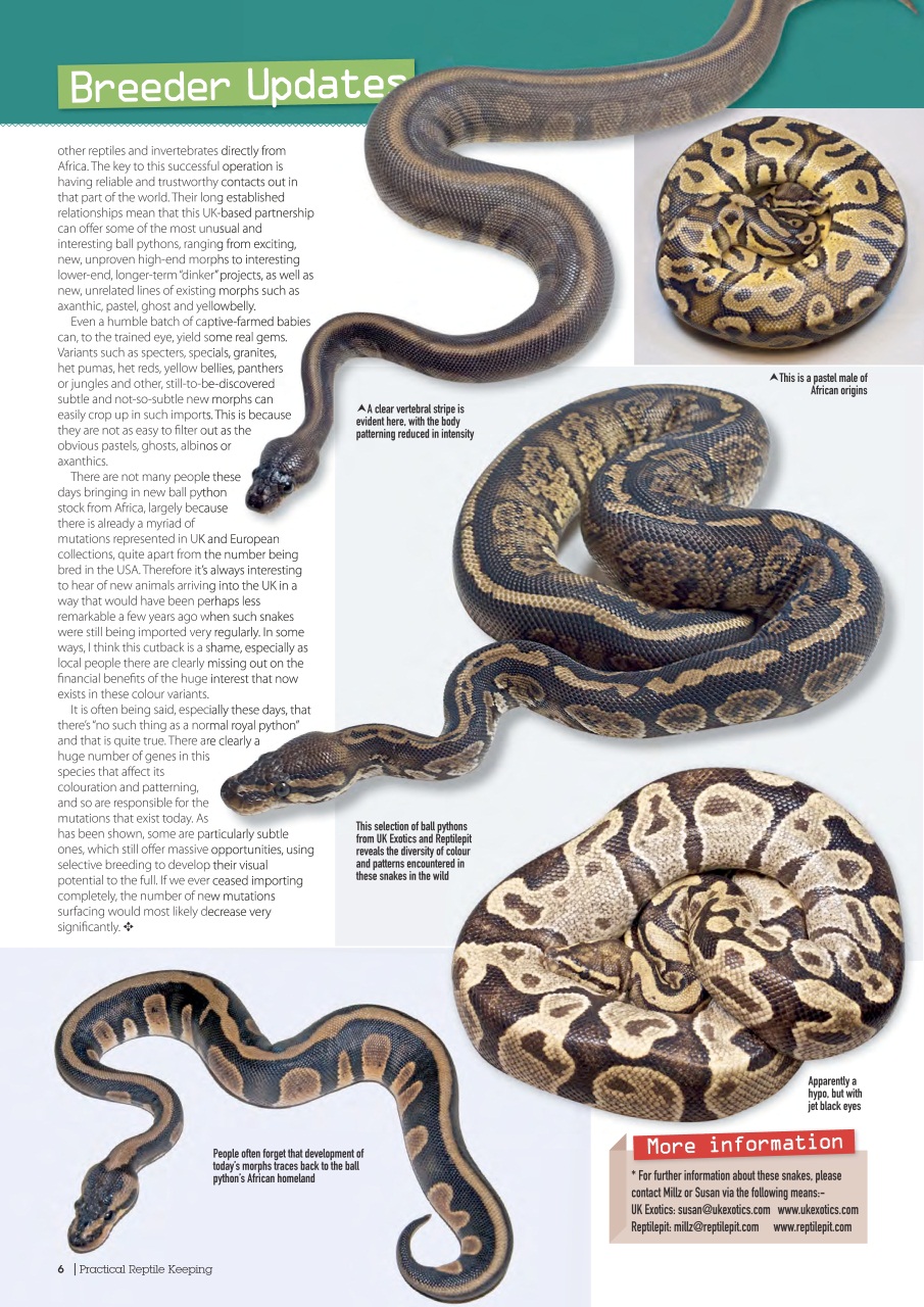 Practical Reptile Keeping Preview Pages