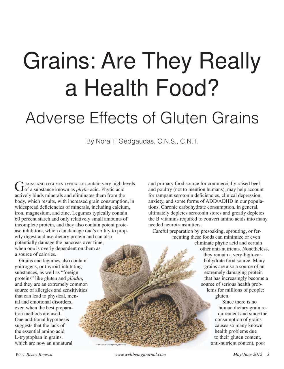 Well Being Journal Preview Pages