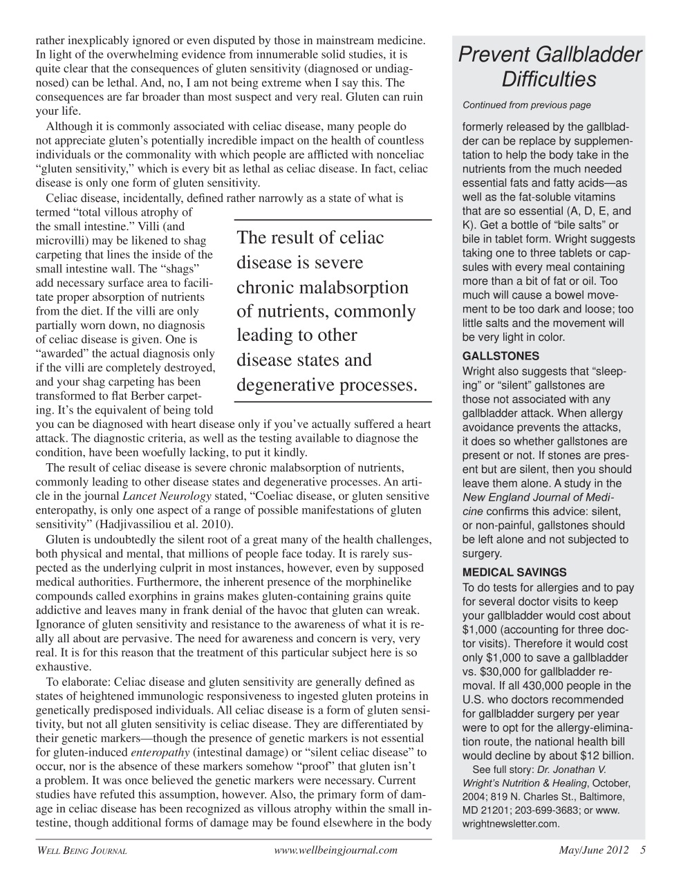 Well Being Journal Preview Pages